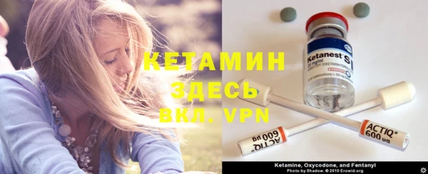 амф Корсаков
