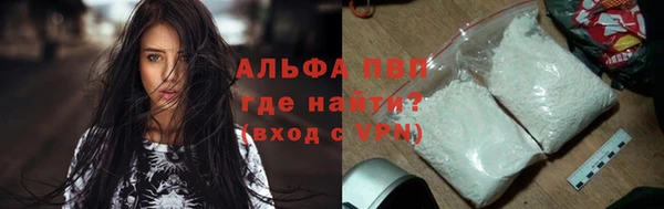 амф Корсаков