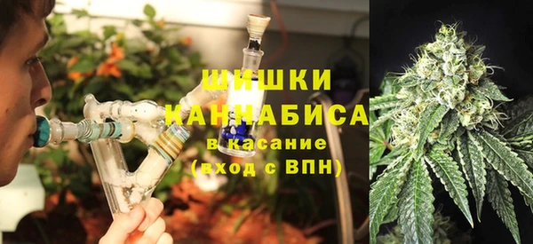 амф Корсаков
