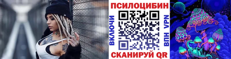 Псилоцибиновые грибы Psilocybe  Купить где  Багратионовск 